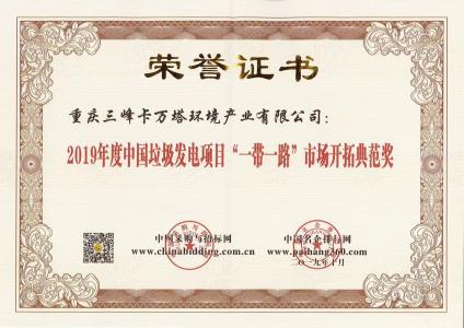 中國垃圾發(fā)電項目“一帶一路”市場開拓典范獎