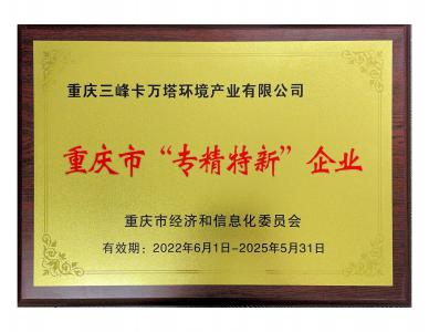 重慶市專精特新企業(yè)