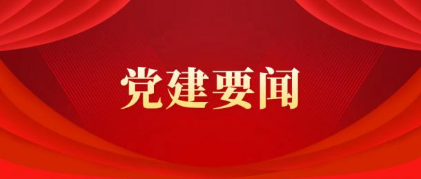 三峰卡萬塔公司召開黨委理論學(xué)習(xí)中心組（擴(kuò)大）2025年第4次學(xué)習(xí)會暨深入貫徹中央八項(xiàng)規(guī)定精神學(xué)習(xí)教育第2次讀書班